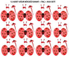 Uğur Böceği Kostüm Seti - Kanat, Taç, Asa 12 Adet