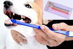 ÇIFT TARAFLI HAYVAN DIŞ FİRÇASI 4 LÜ SET