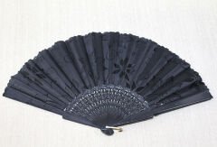 Plastik Siyah Yelpaze