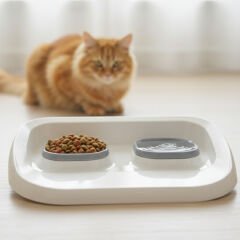 Mikopet Gri 2'si 1 Arada Mama Ve Su Kabı