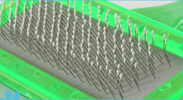 Kedi Tüy Toplayıcı Fırça 4 Renk