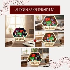 Altıgen Saksı Teraryum - Öğretmenler Günü Hediyesi