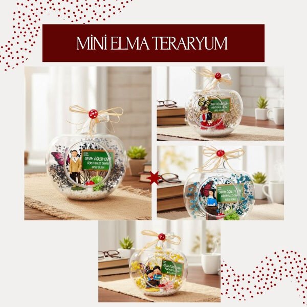 Mini Elma Teraryum - Öğretmenler Günü Hediyesi