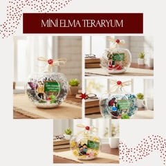 Mini Elma Teraryum - Öğretmenler Günü Hediyesi