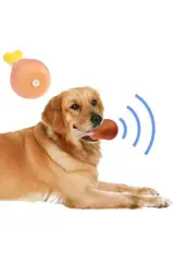 Köpekler İçin Sesli Oyuncak Tavuk Butu