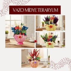 Vazo Midye Teraryum - Öğretmenler Günü Hediyesi